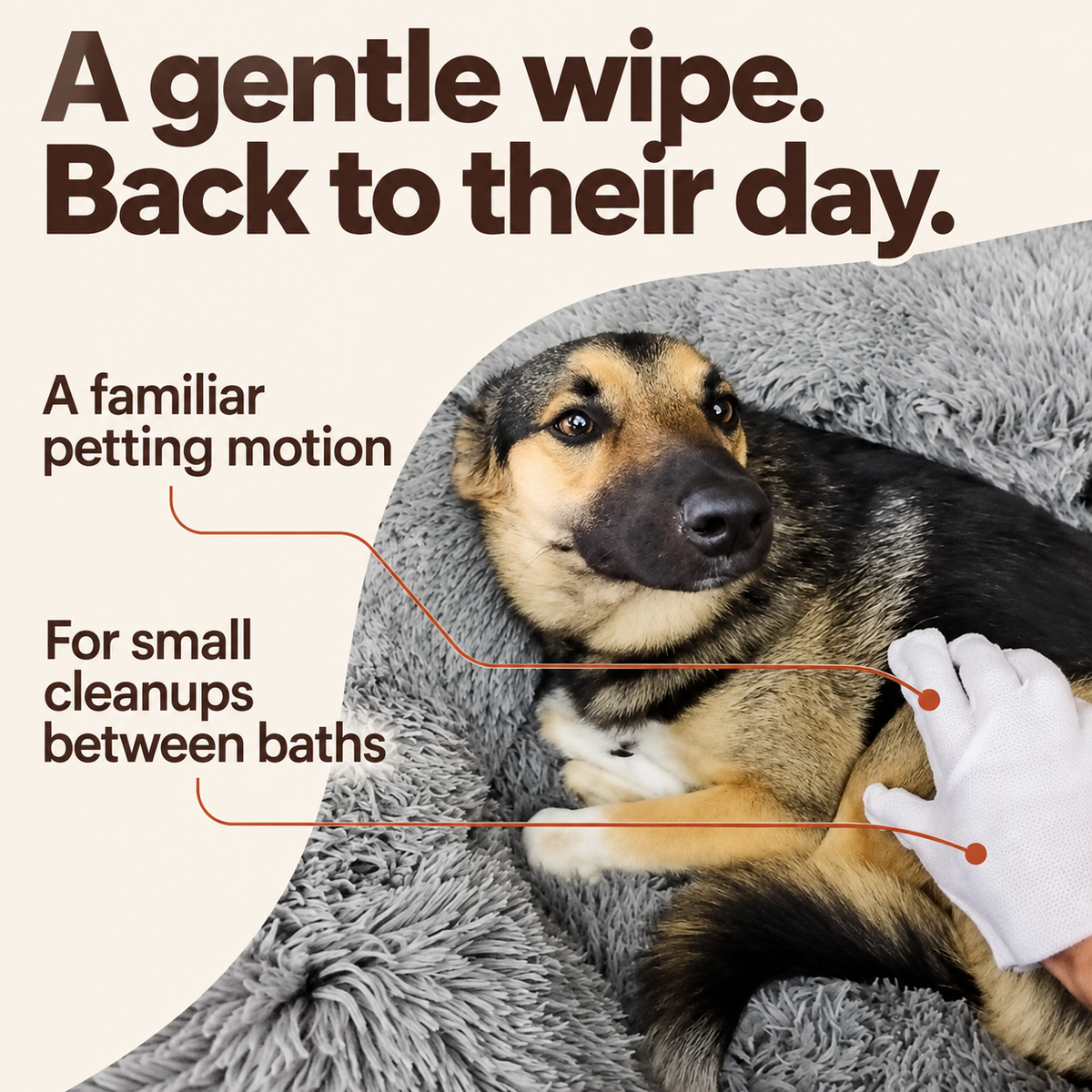 A gentle wipe. Back to their day. A familiar petting motion for small cleanups between baths.
