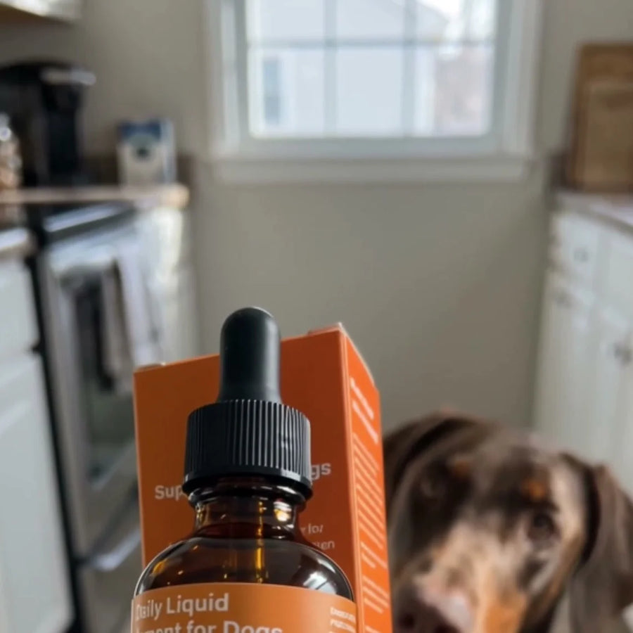 Dogtor Paw Daily Drops, bottle in hand with Teddy