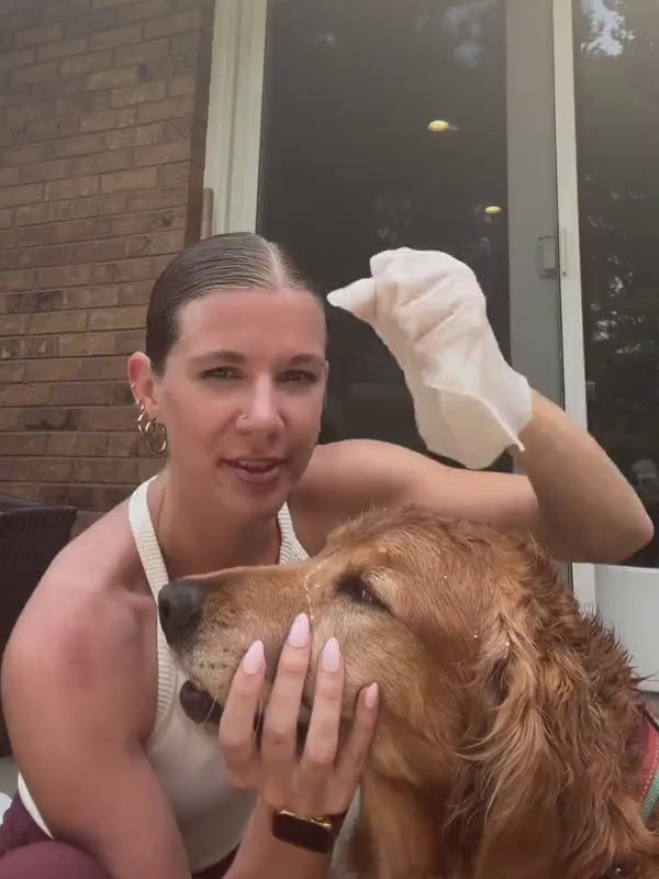 A glove wipe moving along a golden retriever’s coat