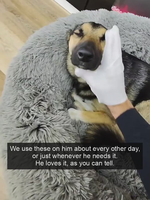 A creator demonstrates a glove-wipe routine