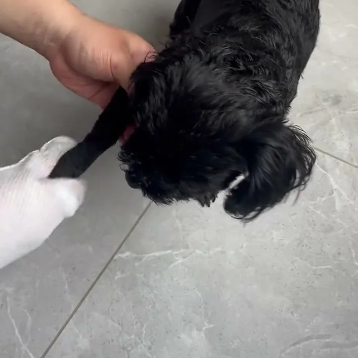 A paw being wiped between the toes