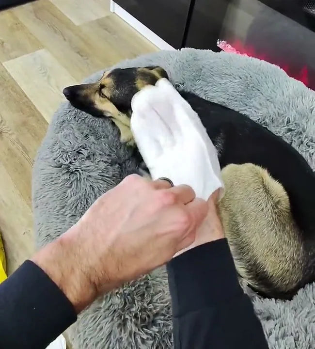 Slipping the glove onto a hand