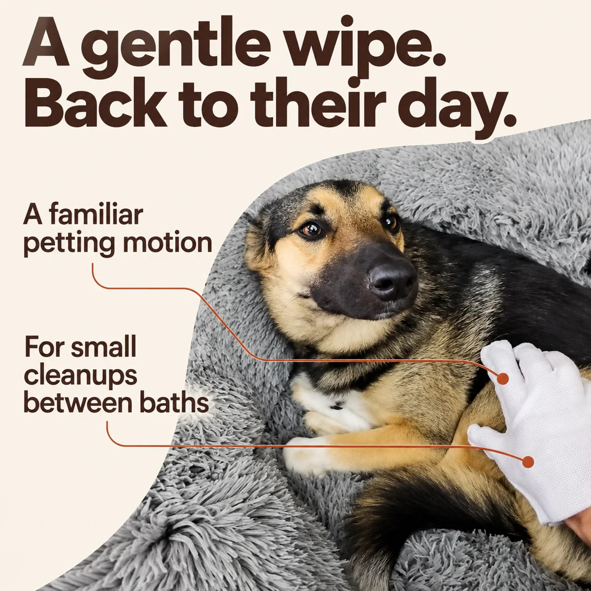 Pet Glove Wipes