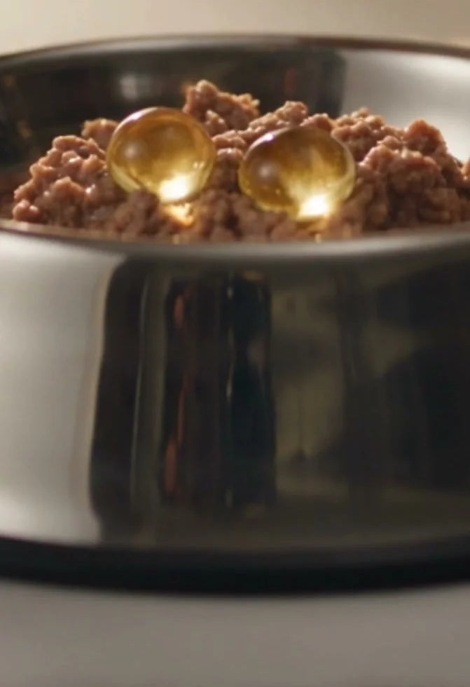Drops going onto kibble in the bowl