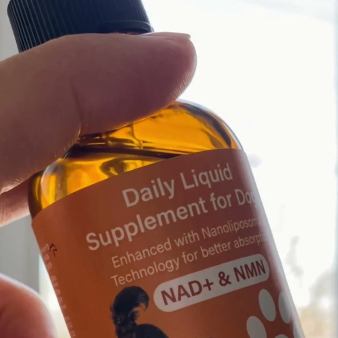 Dogtor Paw Daily Drops