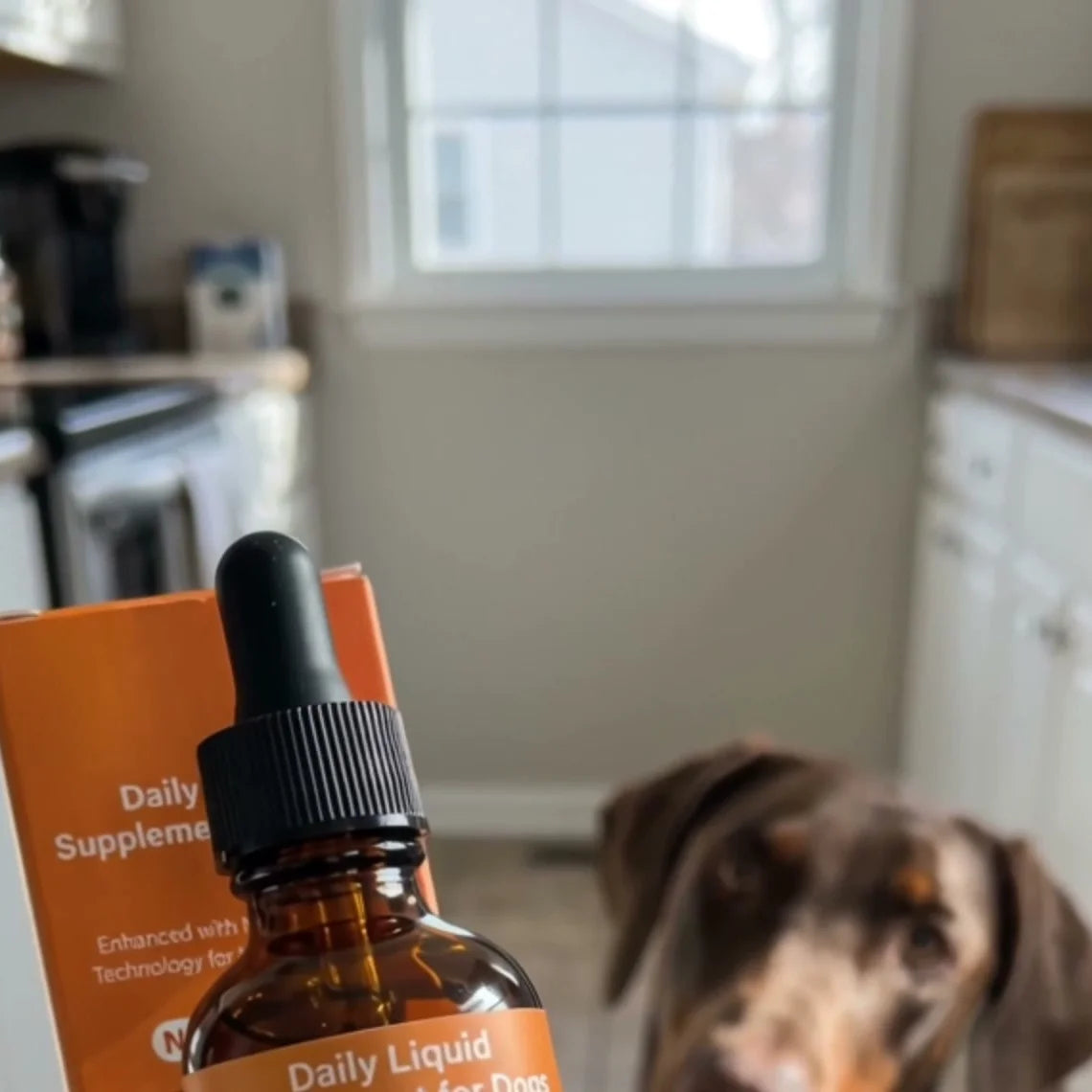 Dogtor Paw Daily Drops
