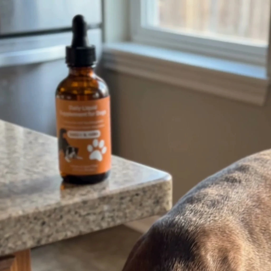 Dogtor Paw Daily Drops
