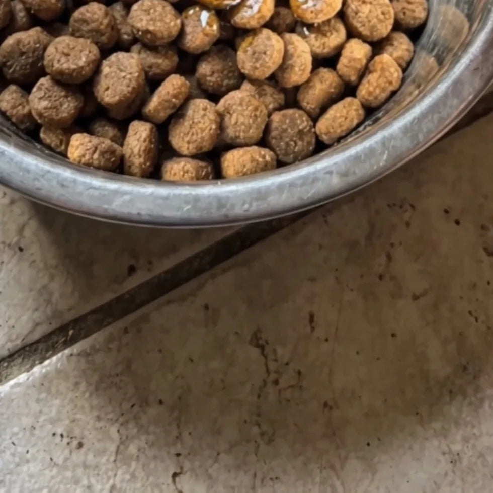 A dropper of Daily Drops going onto kibble